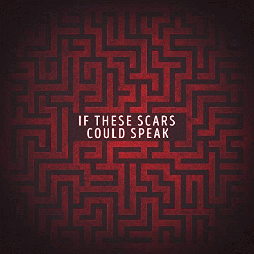 Citizen Soldier : If These Scars Could Speak